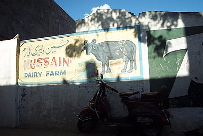 Dairy