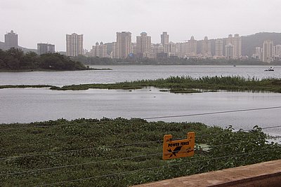 Bombay