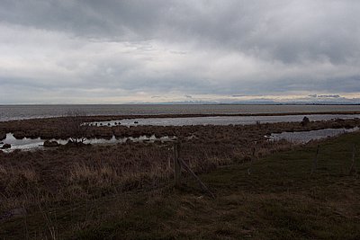 Southern Alps from a distance
